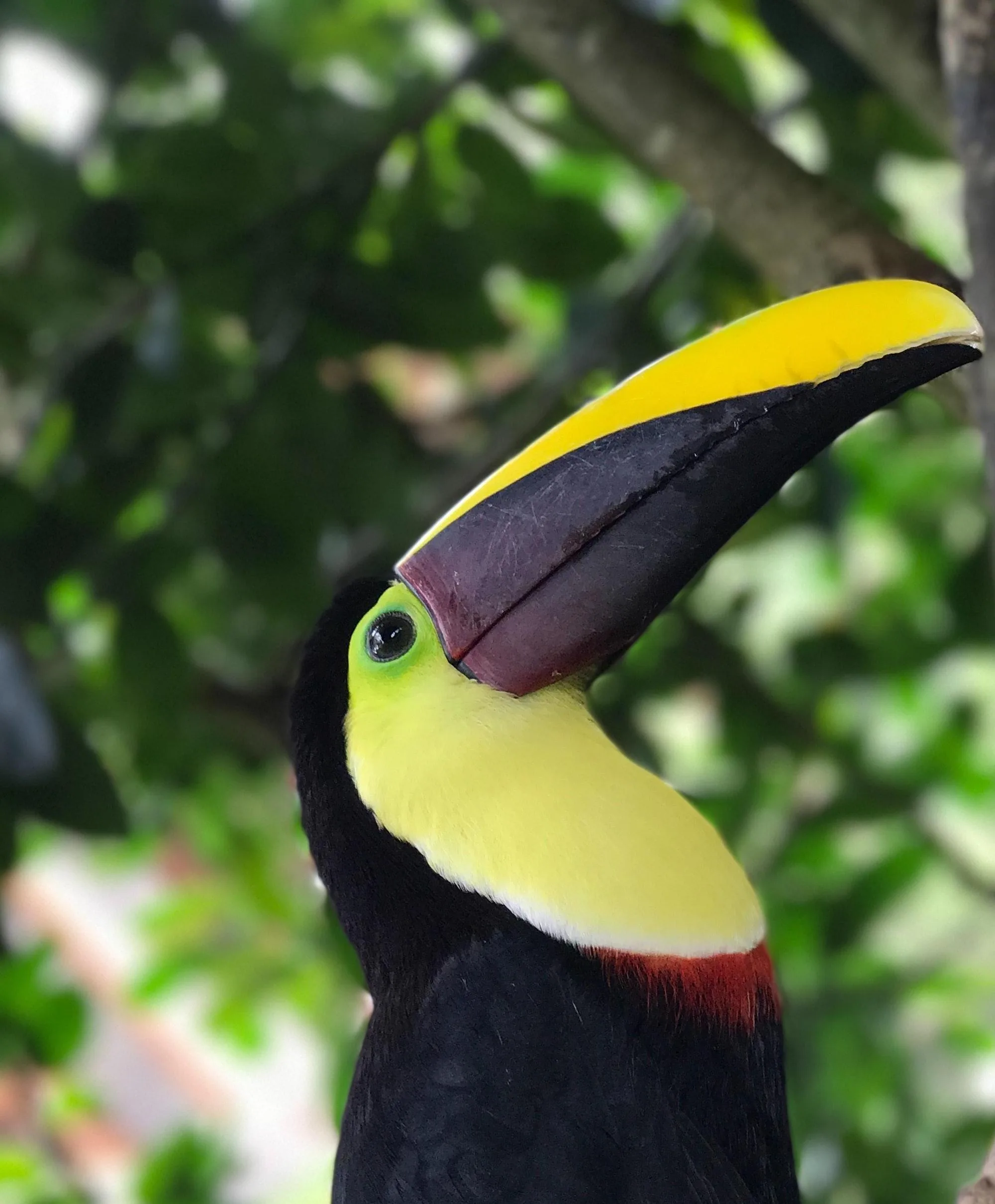 Beleef Costa Rica